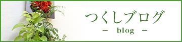 つくしブログ